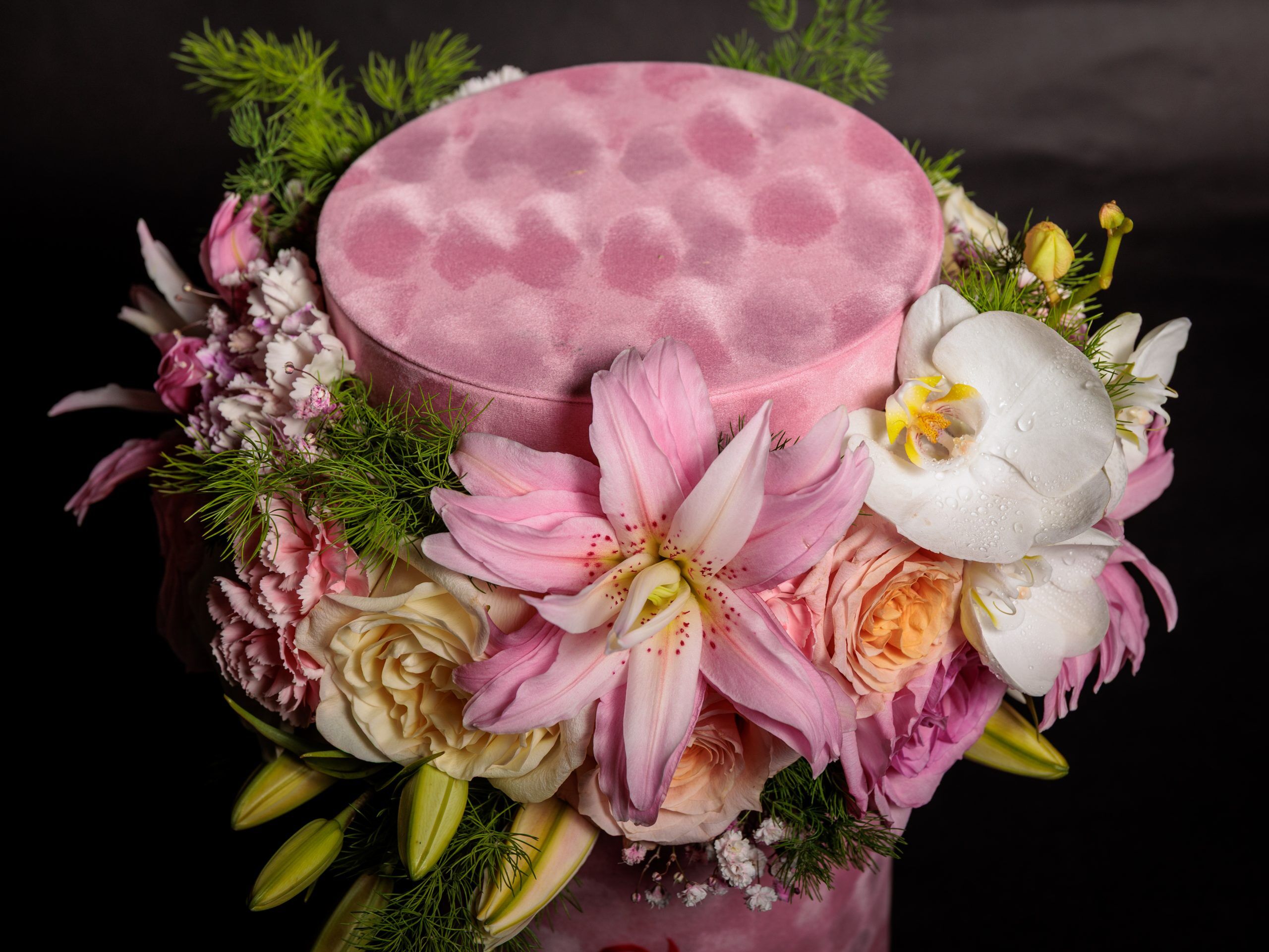 Rosa Intención - Imagen 4