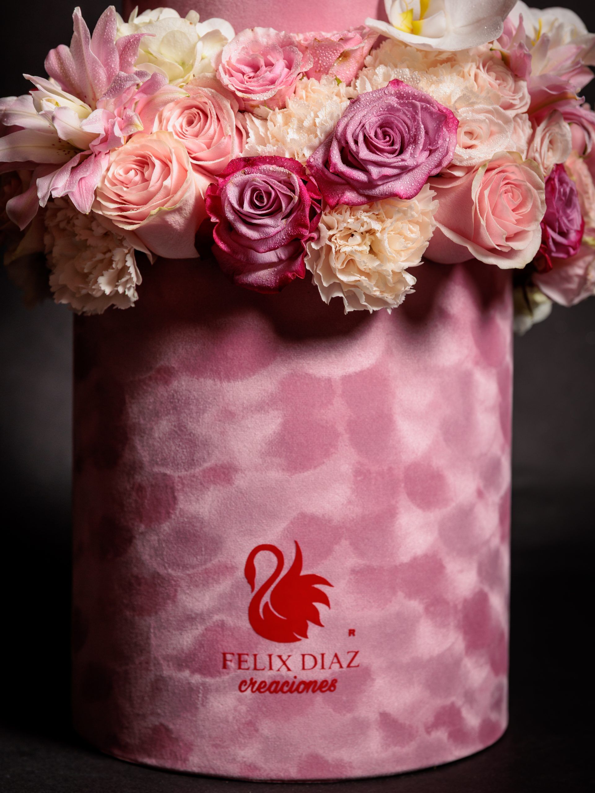 Rosa Intención - Imagen 3