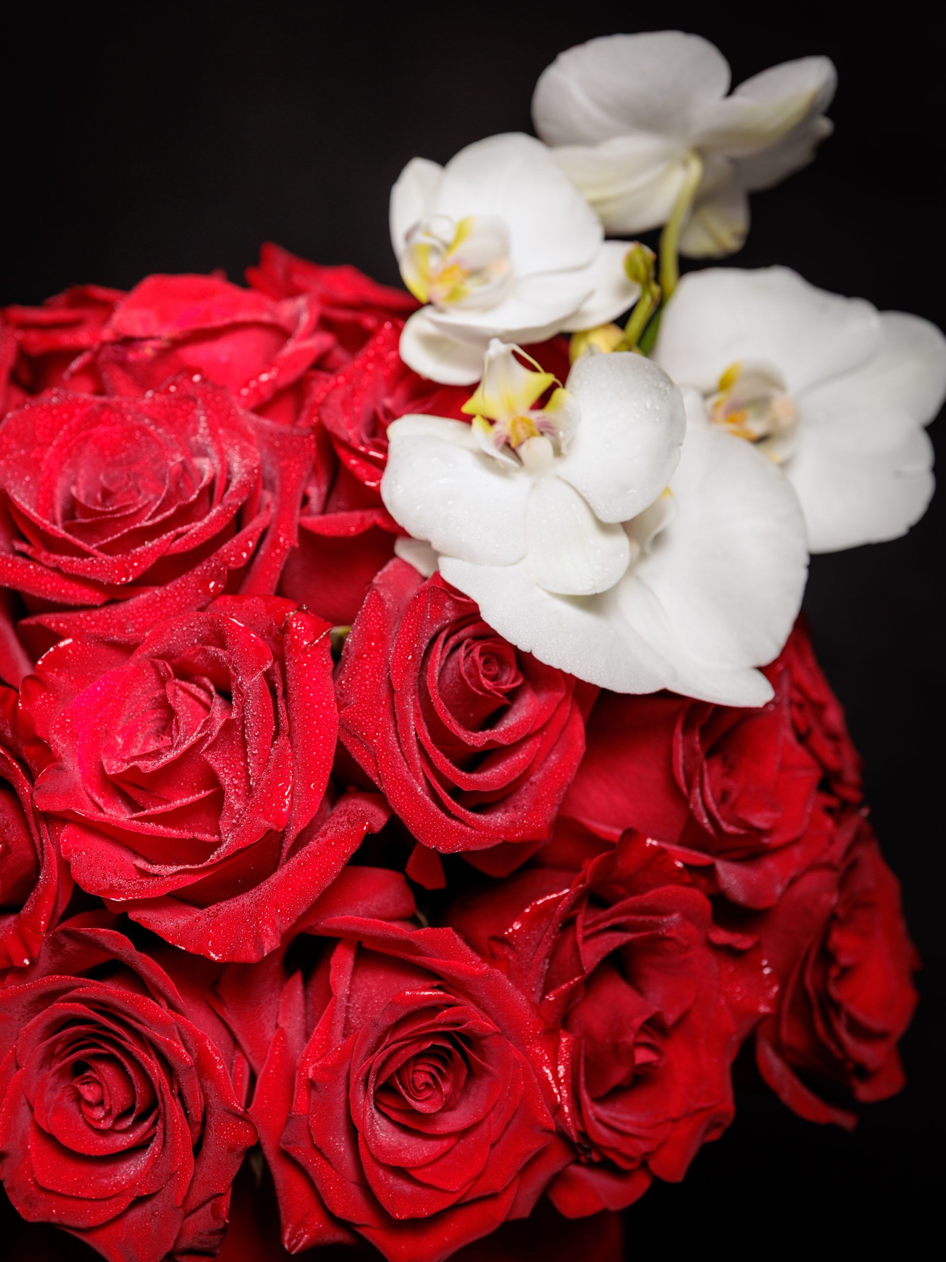 Mega Box Luxury - Imagen 6